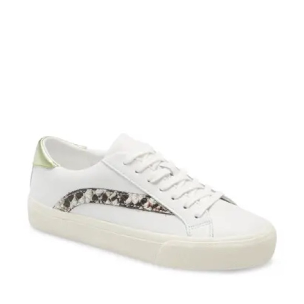 Madewell Sidewalk sneaker in embossed snake